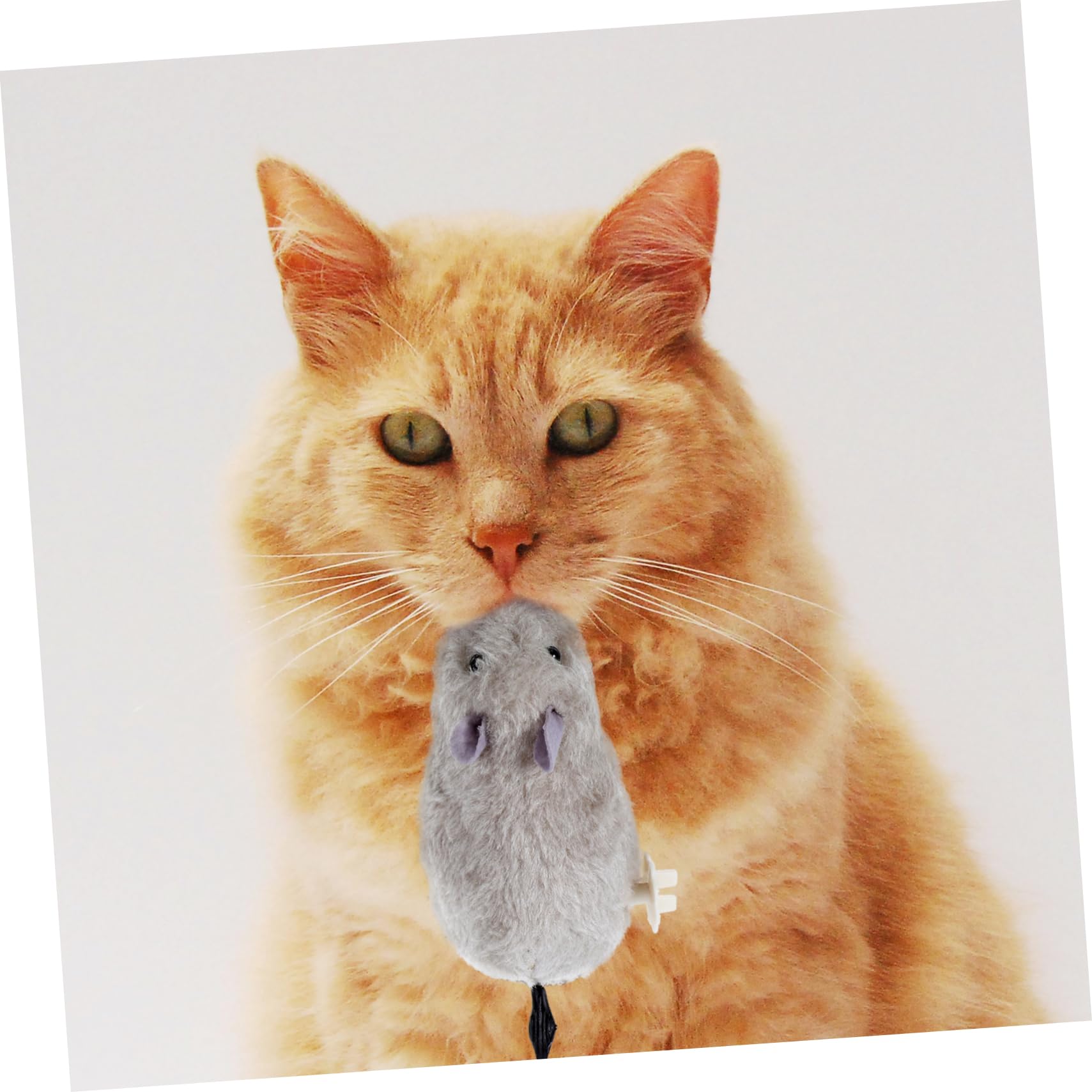 Amazon | CIYODO 3個 ゼンマイ ネズミ 形 おもちゃ 猫 ネズミ おもちゃ